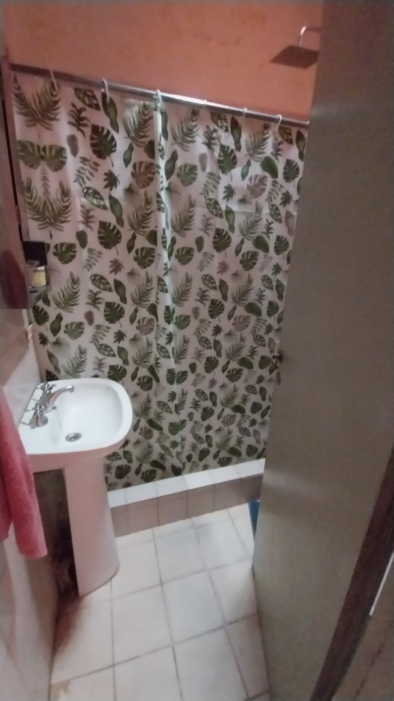 Baño depto planta baja